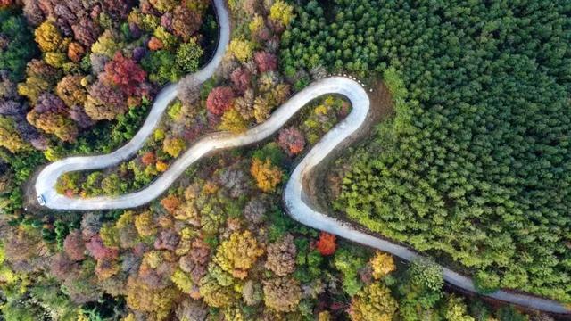 赏金秋游信阳】2025秋季信阳旅游线路推荐
