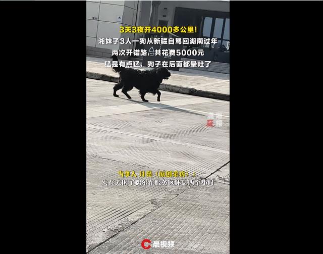 湘妹子3人1狗从新疆自驾回湖南过年，3天4000公里还开错路，狗坐后面都晕吐了