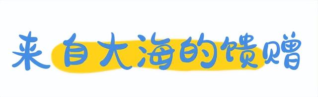 抓住暑假的“尾巴”，去看琼海传统渔村如何“走花路”→