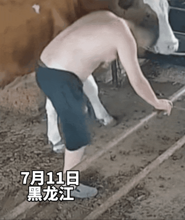 远离禽兽