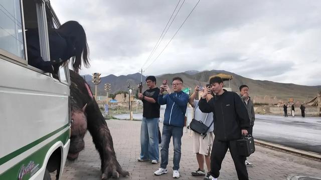 网红大V齐聚阿克塞，开启文化探索之旅