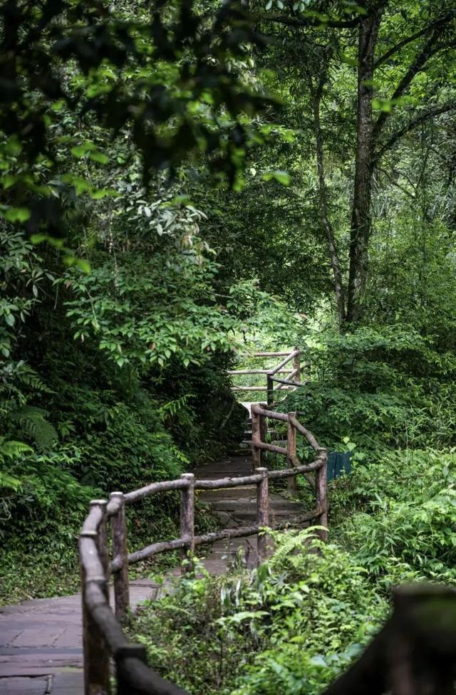 秋望雨城｜在雨城北，秋老虎望而却步！