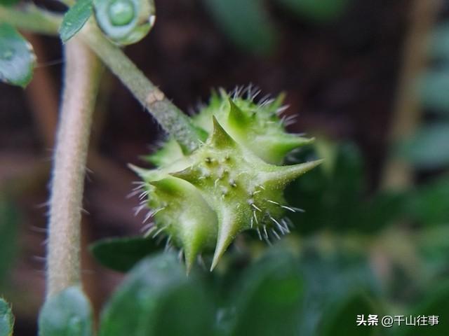 封车还是骑行？骑行老炮儿“过冬秘籍”，开春直接碾压“冬眠党”