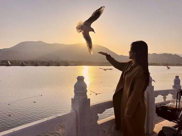 深秋太极岛：芦花漫舞，群鸟蹁跹