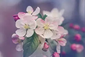 再读《寒窑赋》才明白，人活一辈子，就是一场轮回图片