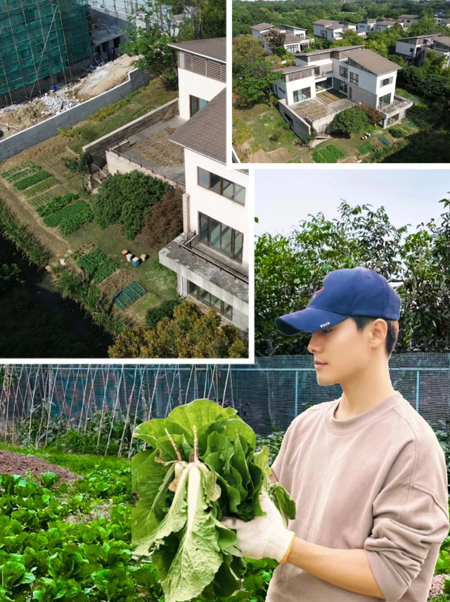 马天宇的院子火了，仅一菜园就圈粉百万，好壮观：一看就不是摆拍