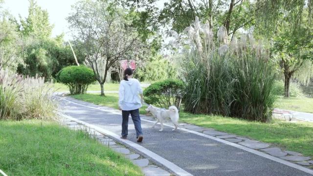 秋日出游，点击解锁新津“三适”出行锦囊→