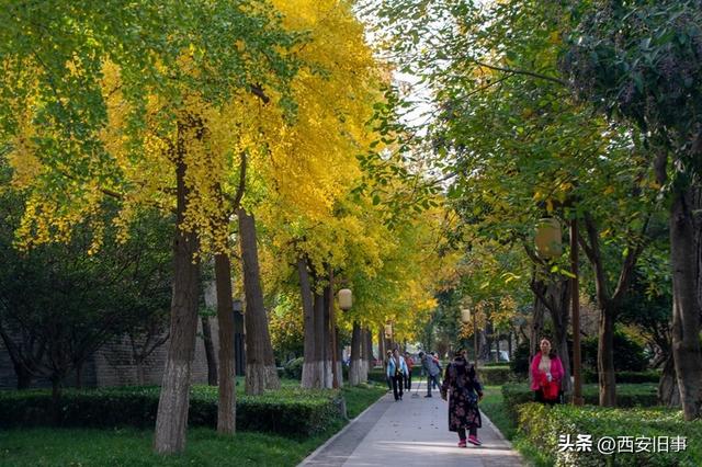 漫步在秋韵浓郁的环城公园（美图）