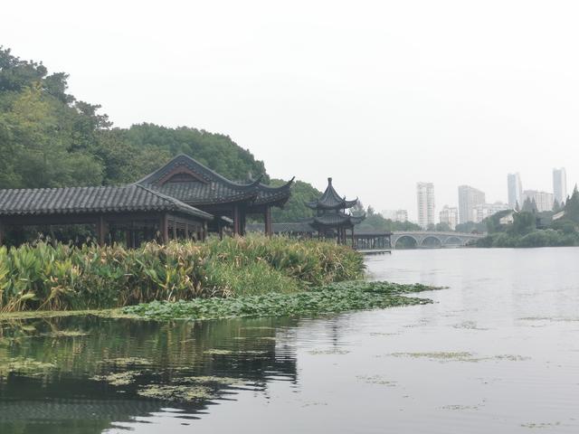 意外之喜	，见到了伟大的人	。。。