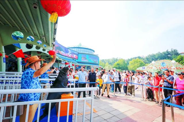 我是上海人,国庆第一天杀到大连,结果被这座北方城市惊到了!