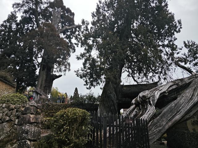 来大漈乡度过最热的时候
