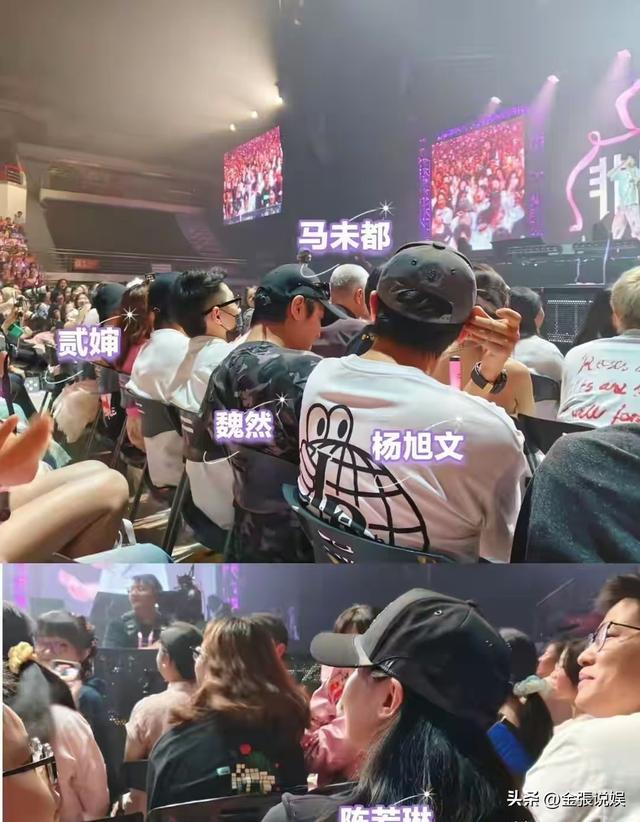 炸裂！陈若琳被曝和杨旭文已订婚！多个同框照被扒	，杨旭文秒回应