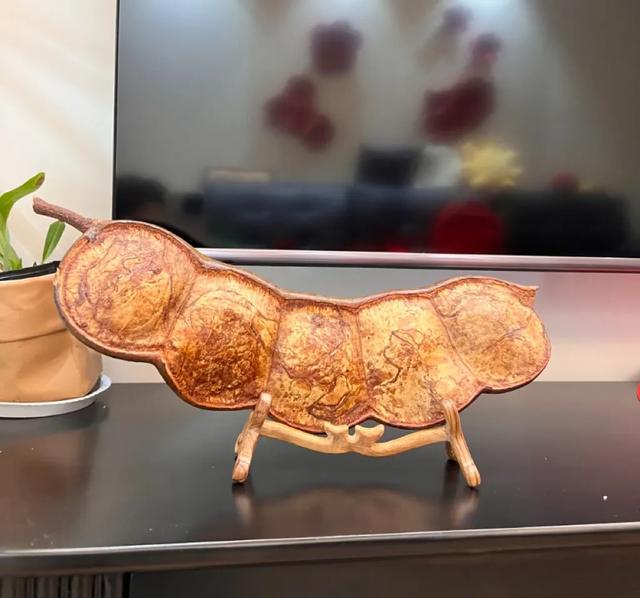 这可能是我买过的最离谱的特产: