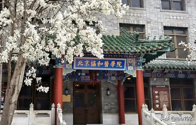 细赏王府系列之—雨中协和（49）《13》