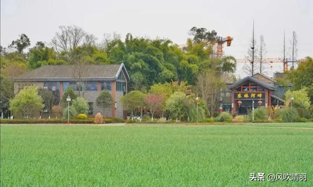 成都西边一个艺术村，73处林盘院落，适合打卡，再现“大地景观”