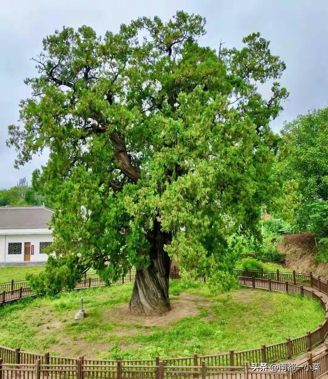 洛南四大古镇：文脉绵延，古韵悠长