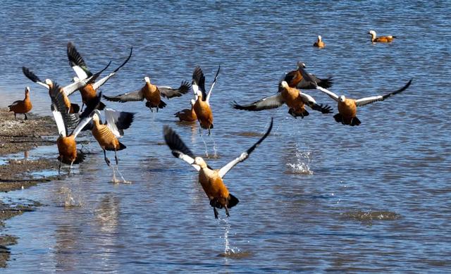 【漠南风】摄影专辑｜行走达茂 定格风光掠影