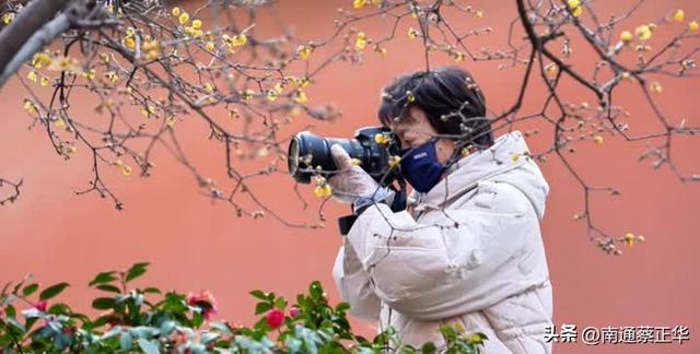 南通冬日“顶流”回归！