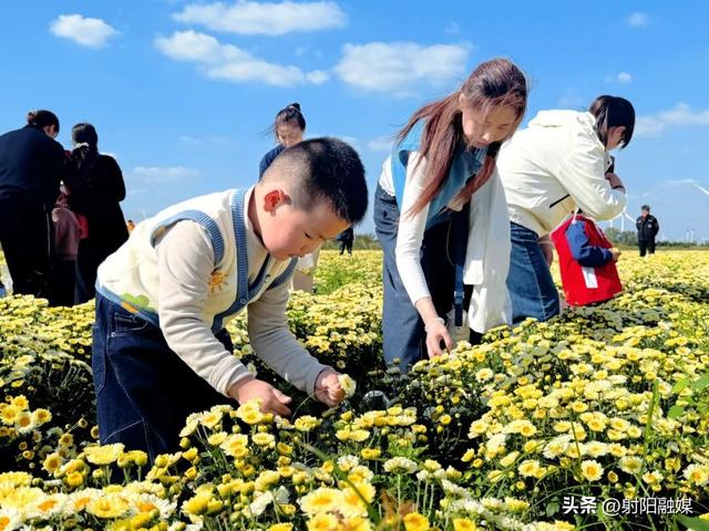 看完这朵看那朵🤩