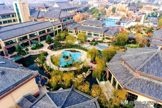 【乐享烟台】定档！烟台最新演唱会消息来了→