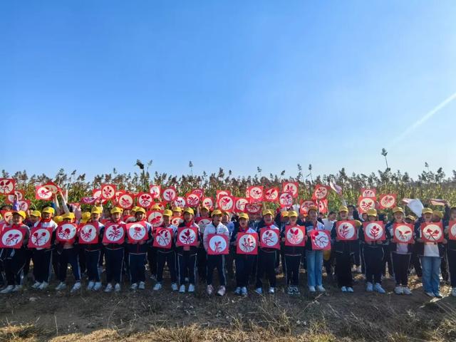 备案成功，高密红高粱抗战博物馆传来喜讯！
