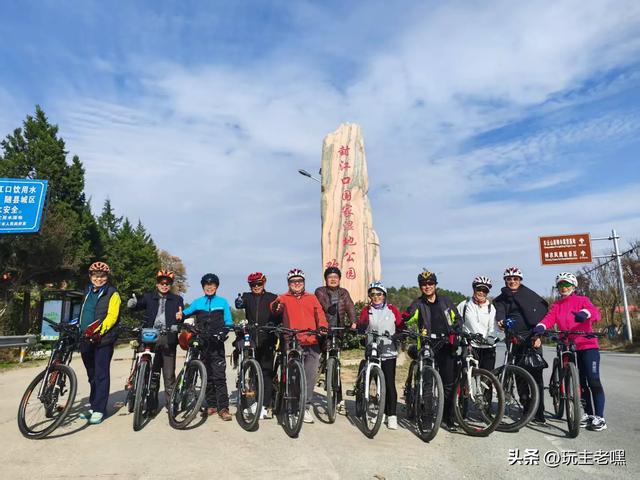 老虎队的故事46,第一面队旗