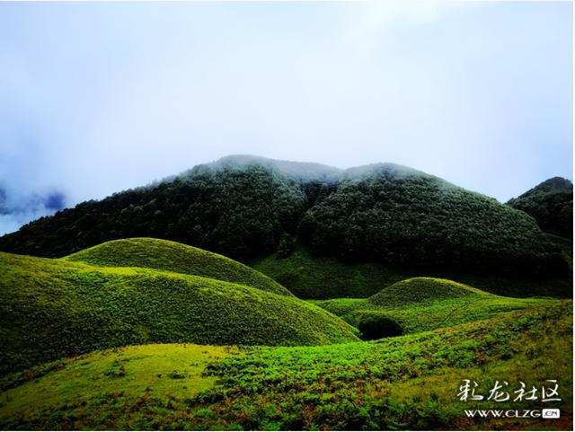 昆明有个阿勒泰