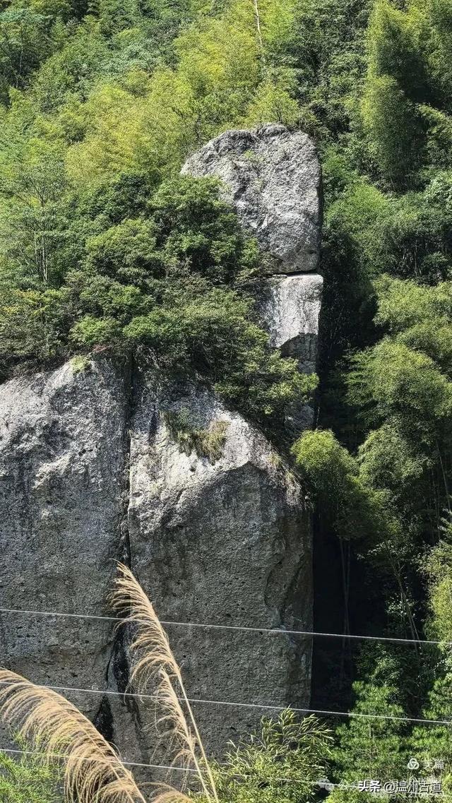 华东最后一个通电村！你知道是温州哪个村吗