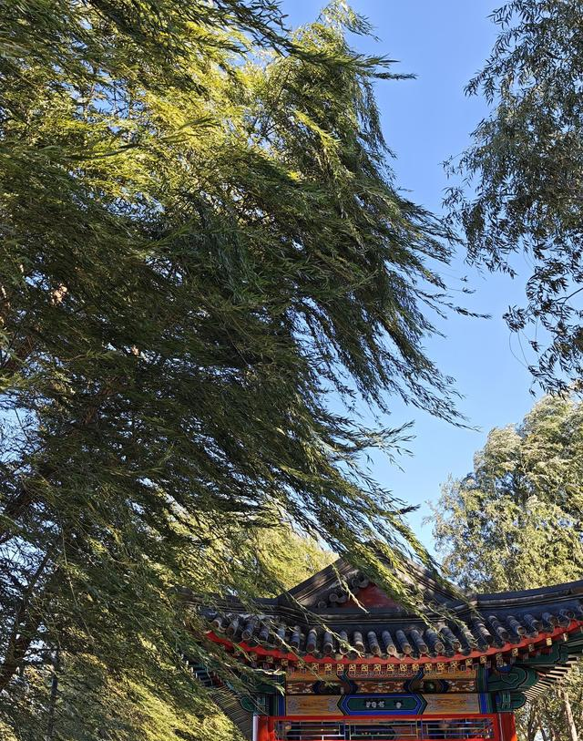 刚从北京大兴回来，毫不客气的说，大兴就是全国郊区城建天花板！