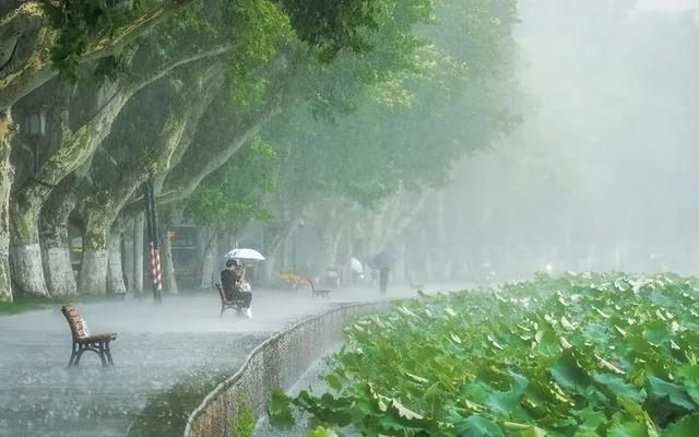 这座城市的8月是限定的！这里富贵迷人眼，没有人来了会不心动