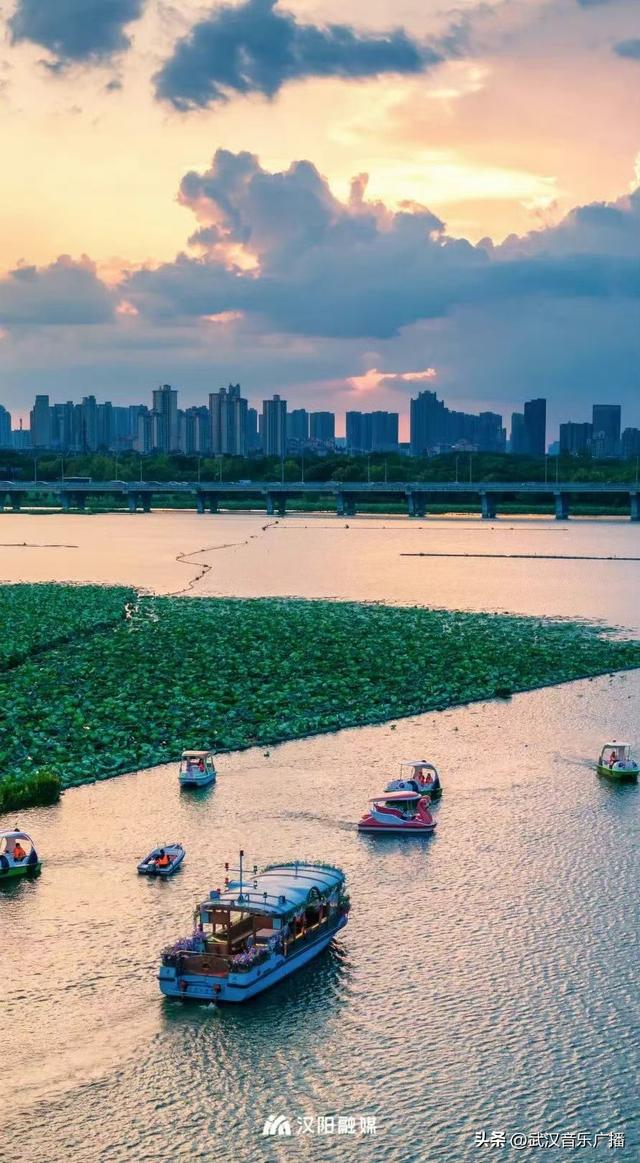 新玩法！武汉墨水湖龙阳湖开通游船夜游