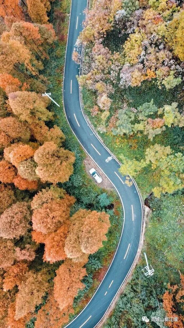 美疯！我就说初冬的都江堰有真东西！