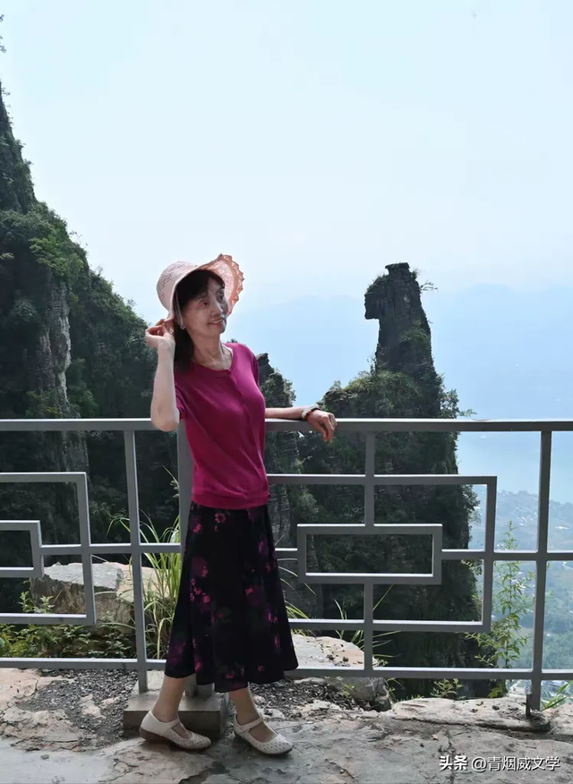 乙巳花坪避暑集锦