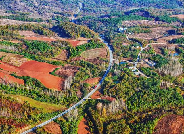 一键收藏!明光南部2025年秋景大赏