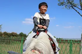 我父亲去世已经整十年，我何时才能回去到他坟前磕头。图片