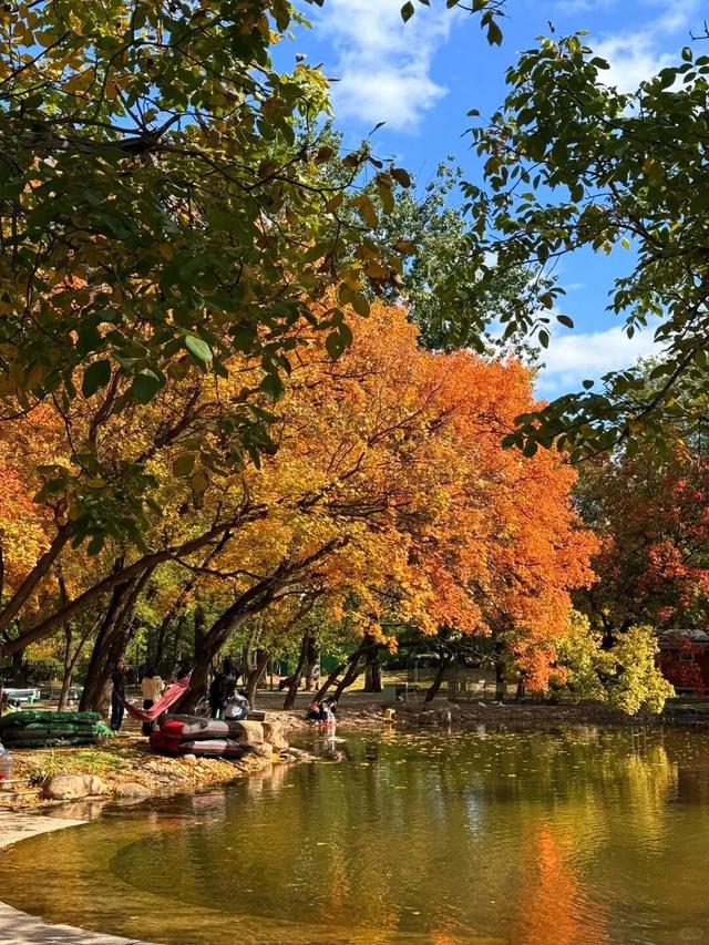 潍坊美景“告急”！这些地方错过等一年！