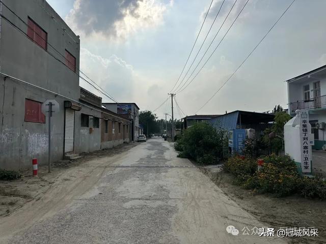 冠县乡韵·辛集镇丁刘八寨