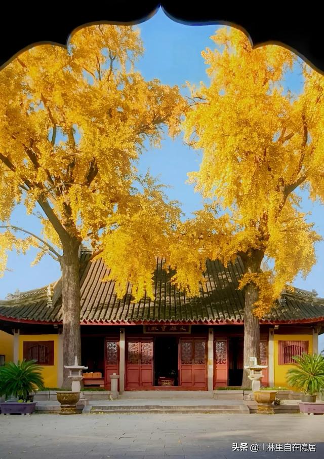 高僧点破：晚年异性靠近，不是桃花运，是前世因果现！