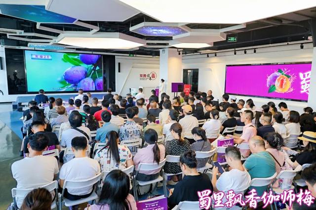 精彩回顾：2025中国新疆喀什·伽师新梅万里行宣传推介活动成都站、长沙站高光图集来啦！