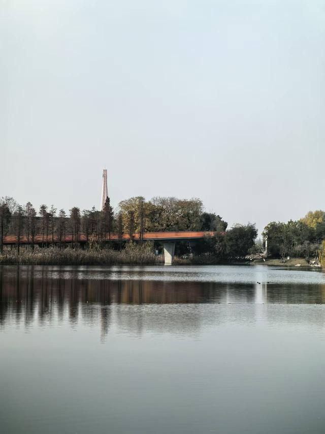 这个春节“骑”开得胜 绿道游持续火热