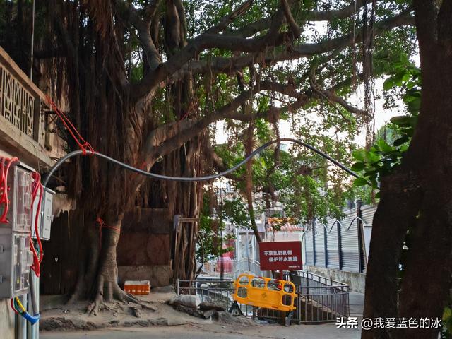 逛揭阳古城，揭阳学宫真热闹，双峰寺的楼真高