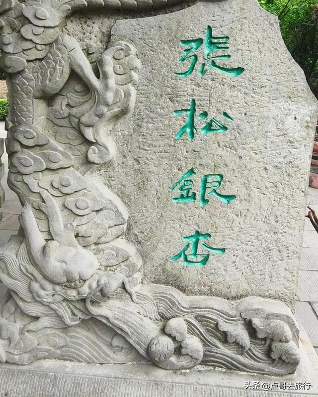 成都这5大千年银杏，超级惊艳，其中一株相传是杨贵妃种植！