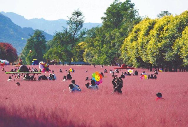 秋染秦皇共浪漫