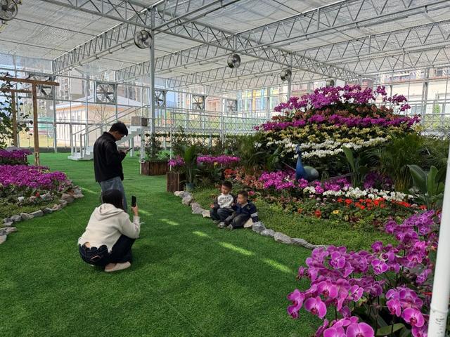 游客接待量同比增长超138%！多样玩法点燃南山镇“新春热”