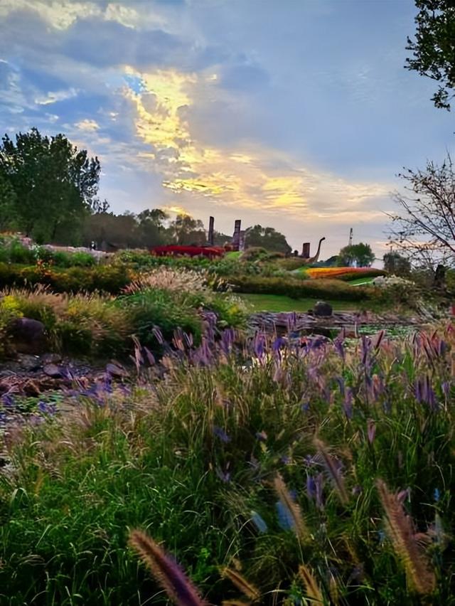 绿博园秋色斑斓