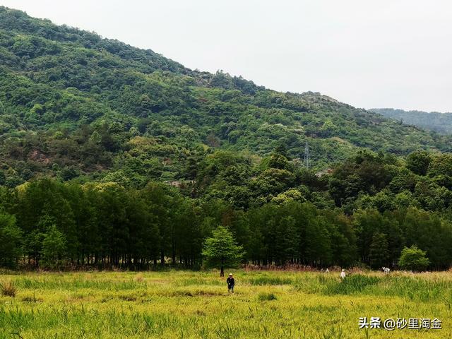 亭下湖