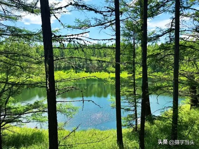 在阿尔山，邂逅一个22℃的夏天