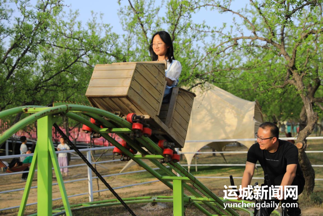 稷山国家板枣公园板枣采摘节甜蜜启幕