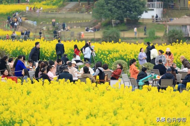 喜讯!瞿上田园正式获评国家3A级旅游景区!