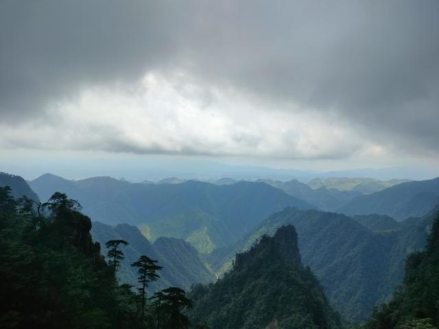 湘粤赣之旅（三）：莽山记